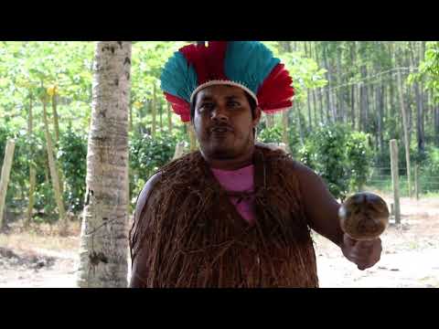 Cacique Bacurau Pataxó denuncia reportagem da Band que diz que povo Pataxó são "falsos índios"