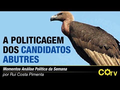 A politicagem dos candidatos abutres