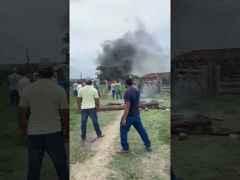 Latifundiários e policiais militares atacam retomada e assassinam um índio Pataxó Ha-ha-hãe na Bahia