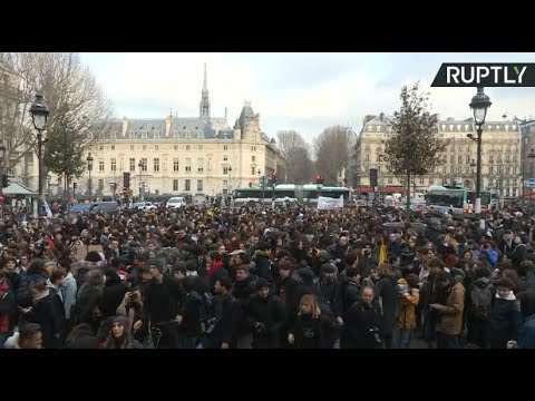 Students take to the streets of Paris to protest against new education fees
