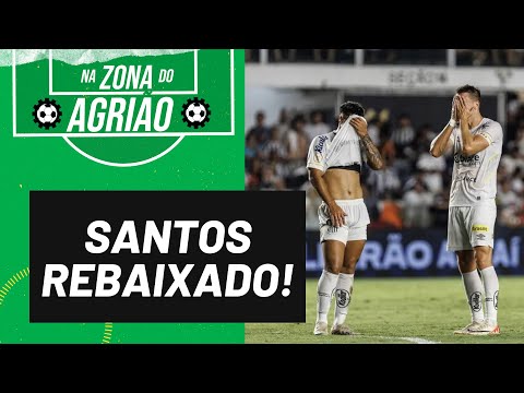 No 1° ano sem Pelé, Santos cai pra Série B - Na Zona do Agrião - 11/12/23