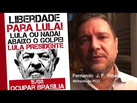 Professor de filosofia da Universidade Federal Fluminense (UFF) convoca todos para ocupar Brasília