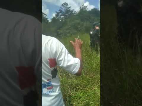Polícia Militar tenta prender índio Pataxó que estava tirando sustento de sua própria terra na Bahia