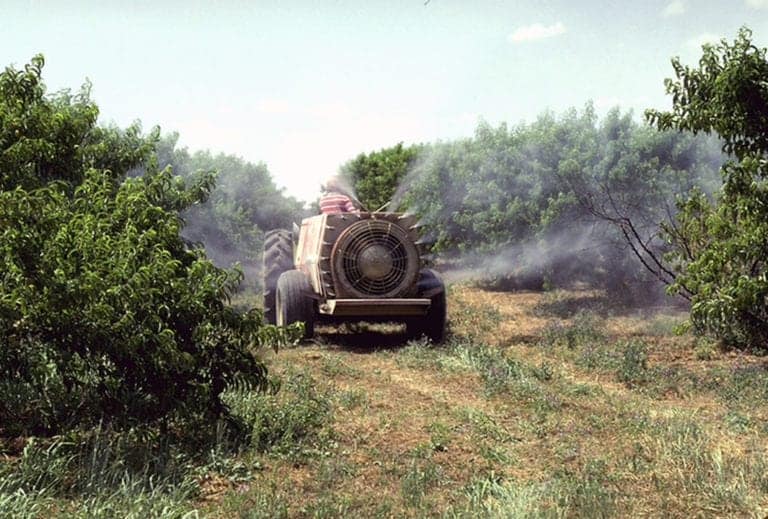 agrotoxico_pesticida