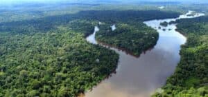 Amazônia