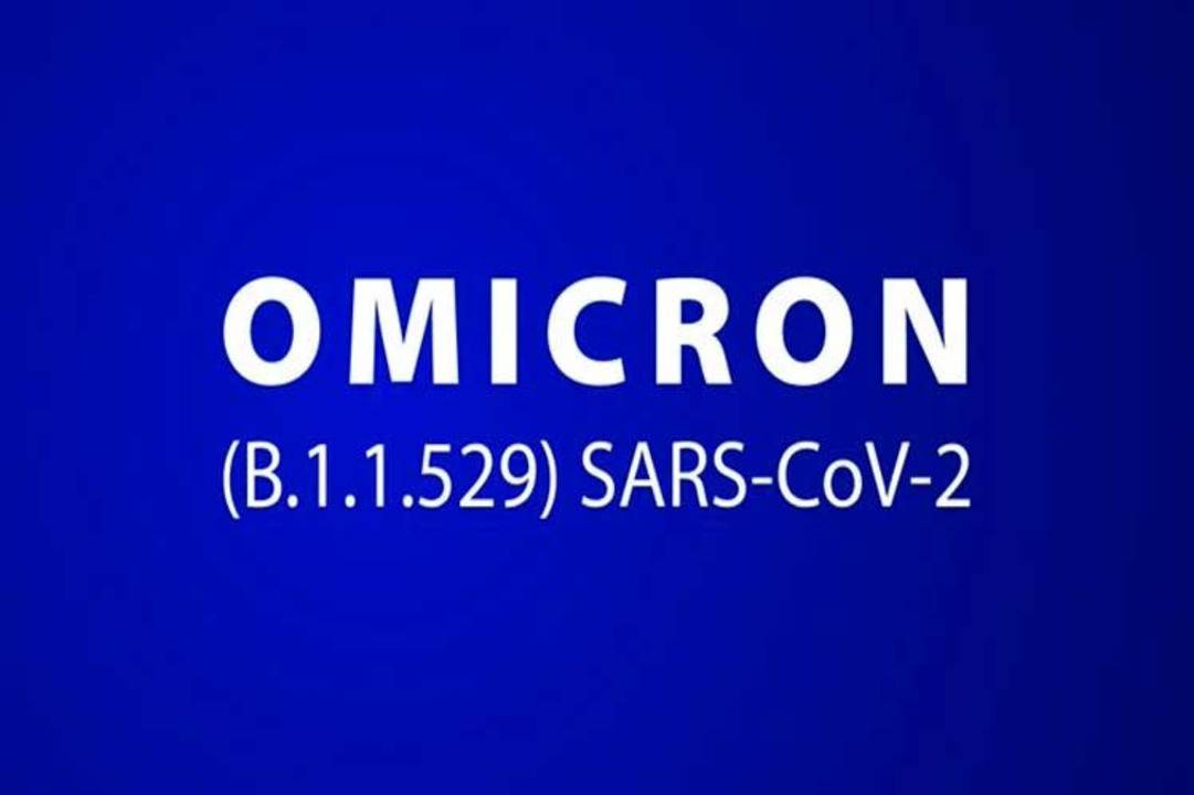 whatsapp image 2021 12 02 at 14.17.47 (1)