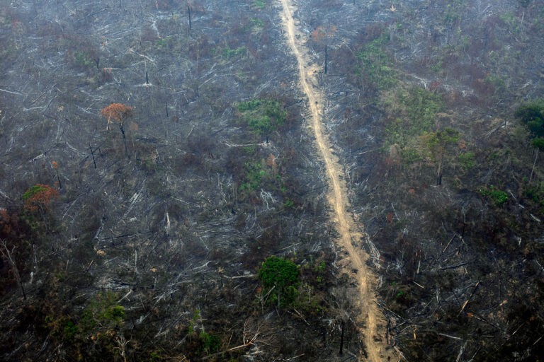 sobrevoo no pará (foto marizilda cruppe/amazônia real/17/09/20