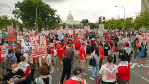 Manifestantes pró-Palestina