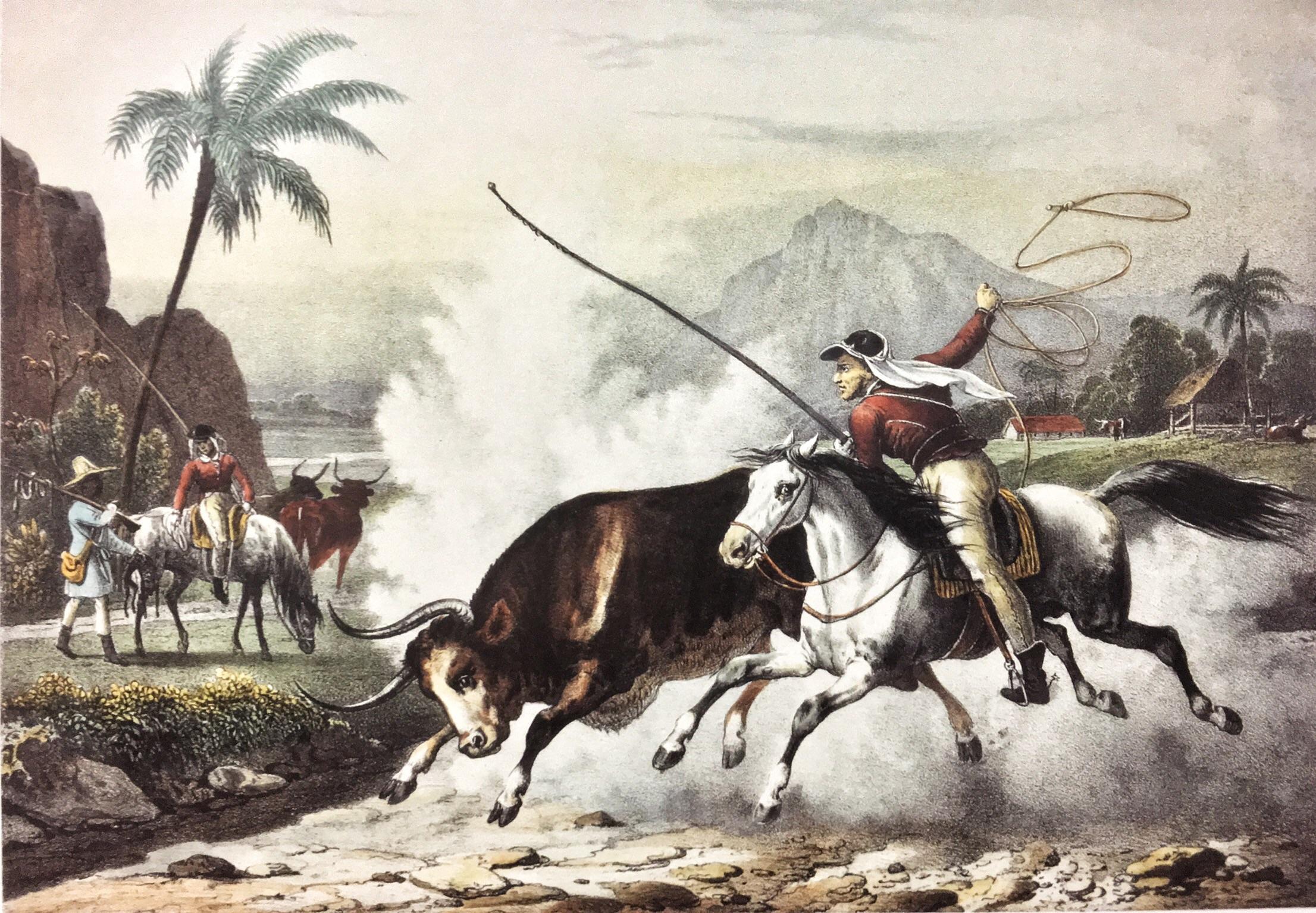 O Grande Oeste Brasileiro