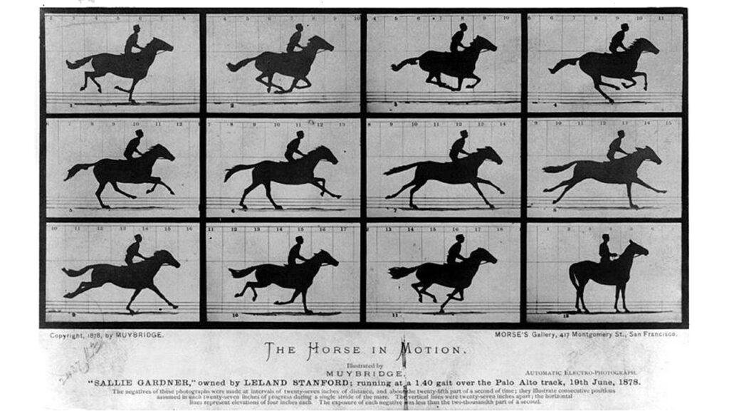 O cavalo em movimento - Eadeweard Muybridge (1878)