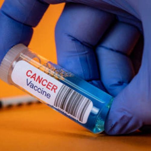 68d287d885f540548127d43a (1)