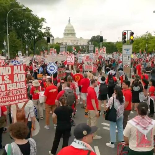 Manifestantes pró-Palestina