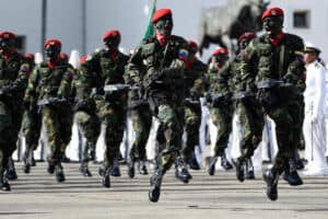 fuerza armada nacional bolivariana 20190110 001