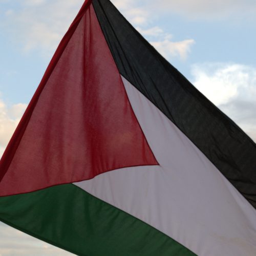 Bandeira Palestina 2